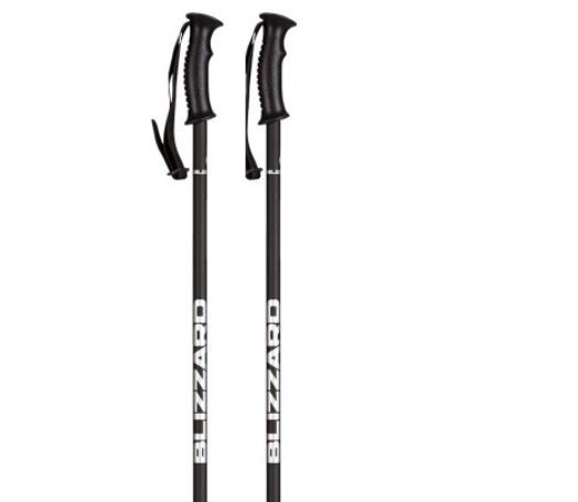 фото Палки горнолыжные blizzard rental junior ski poles black matt/silver