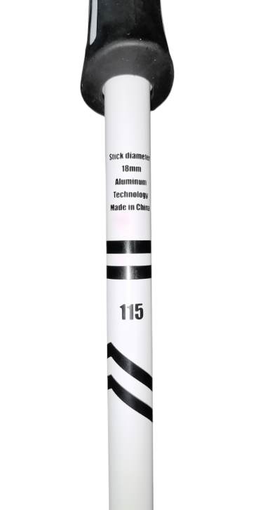 фото Палки горнолыжные dfs 24-25 ray white